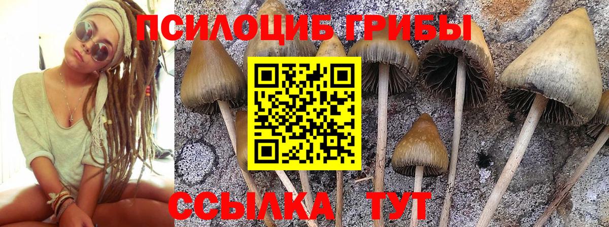 Галлюциногенные грибы мухоморы Каменск-Уральский
