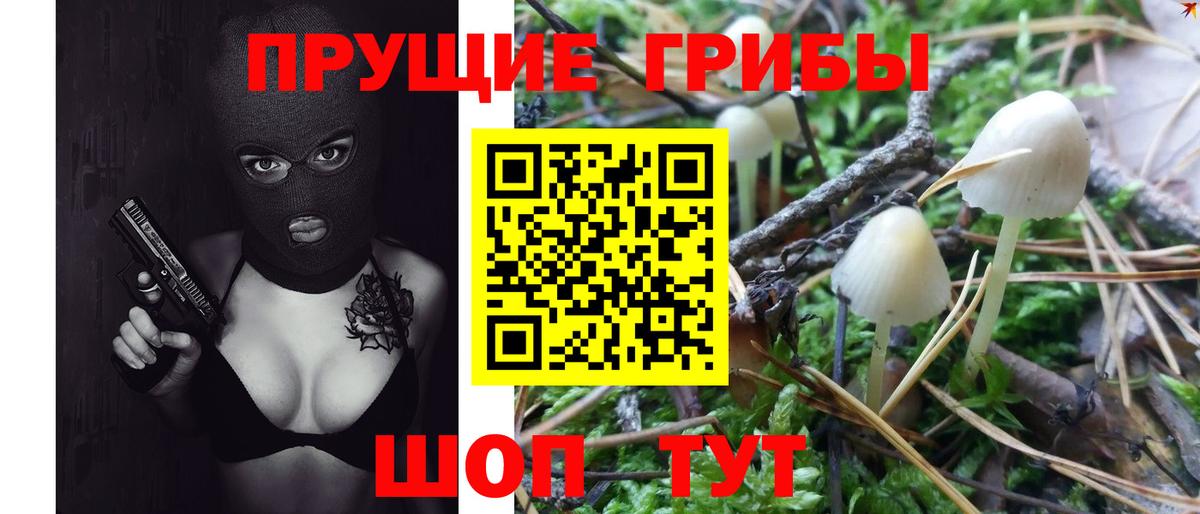 Псилоцибиновые грибы GOLDEN TEACHER  Галлюциногенные грибы ЛСД  Каменск-Уральский  где купить наркоту  Вход с VPN 